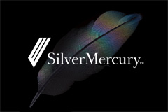 Silver Mercury      2